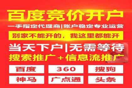 专业SEM托管如何助力电商行业增长？——案例分析